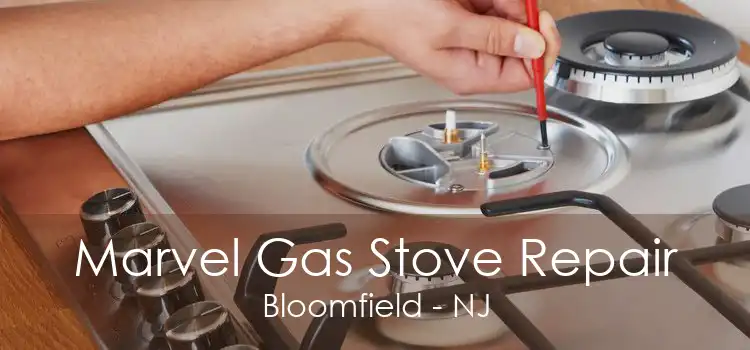 Marvel Gas Stove Repair Bloomfield - NJ